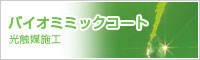 �o�C�I�~�~�b�N�R�[�g�`���G�}�{�H